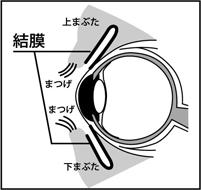 図