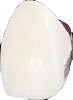 dWO1