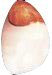 S[hZ~bN2